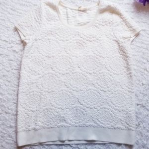 Anthropologie Moth Sweater Tee